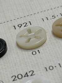 1921 DAIYA BUTTONS 5 Bouton Shell Polyester DAIYA BUTTON(DAIYA BUTTON) Sous-photo