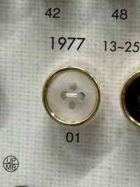 1977 Bouton De Luxe élégant à 4 Trous Pour Chemises DAIYA BUTTON(DAIYA BUTTON) Sous-photo