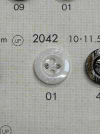2042 DAIYA BUTTONS Bouton En Polyester Façon Coquillage DAIYA BUTTON(DAIYA BUTTON) Sous-photo