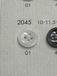 2045 DAIYA BUTTONS Bouton En Polyester Façon Coquillage DAIYA BUTTON(DAIYA BUTTON) Sous-photo