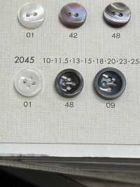 2045 DAIYA BUTTONS Bouton En Polyester Façon Coquillage DAIYA BUTTON(DAIYA BUTTON) Sous-photo