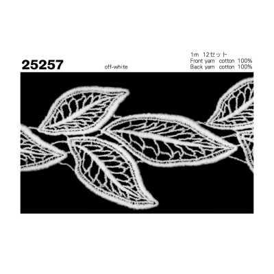 25257 Dentelle chimique