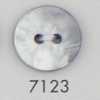 7123 Bouton à deux trous en résine polyester