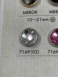 7169 Boutons Acryliques Pour Dames Pour De Magnifiques Chemises Et Chemisiers DAIYA BUTTON(DAIYA BUTTON) Sous-photo