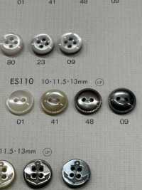 ES110 DAIYA BUTTONS 2 Trous Décoration Bord Shell Bouton Polyester DAIYA BUTTON Sous-photo