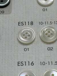 ES118 DAIYA BUTTONS Bouton En Polyester Façon Coquillage DAIYA BUTTON(DAIYA BUTTON) Sous-photo
