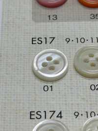 ES17 DAIYA BUTTONS Bouton En Polyester Façon Coquillage DAIYA BUTTON Sous-photo