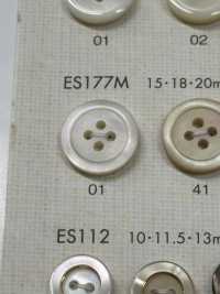 ES177M Boutons En Coquillage Bouton En Polyester Mat Façon Coquillage DAIYA BUTTON(DAIYA BUTTON) Sous-photo