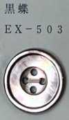 EX503 Bouton Coquille à 4 Trous, Bordé