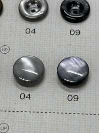 FM304 DAIYA BUTTONS Bouton En Polyester Façon Coquillage DAIYA BUTTON Sous-photo