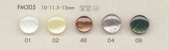 FM305 Boutons Coquillages En Polyester DAIYA BUTTONS