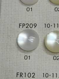 FP209 DAIYA BUTTONS Bouton En Polyester Façon Coquillage DAIYA BUTTON Sous-photo