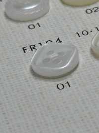 FR104 DAIYA BUTTONS Bouton En Polyester Façon Coquillage DAIYA BUTTON(DAIYA BUTTON) Sous-photo