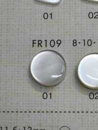 FR109 DAIYA BUTTONS Bouton En Polyester Façon Coquillage DAIYA BUTTON Sous-photo