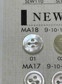 MA18 DAIYA BUTTONS Bouton En Polyester Façon Coquillage DAIYA BUTTON Sous-photo