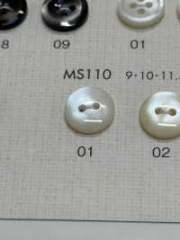 MS110 DAIYA BUTTONS Bouton En Polyester Façon Coquillage DAIYA BUTTON Sous-photo