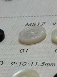 MS17 DAIYA BUTTONS Bouton En Polyester Façon Coquillage DAIYA BUTTON(DAIYA BUTTON) Sous-photo
