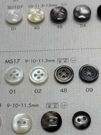 MS17 DAIYA BUTTONS Bouton En Polyester Façon Coquillage DAIYA BUTTON(DAIYA BUTTON) Sous-photo