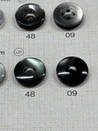 NRS110 DAIYA BUTTONS Bouton En Polyester Façon Coquillage DAIYA BUTTON(DAIYA BUTTON) Sous-photo