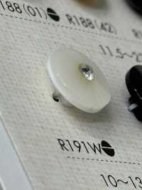 R191W Boutons En Résine Polyester Sous-photo