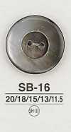 SB16 Bouton en coquille