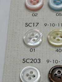 SC17 BOUTONS DAIYA Résistant Aux Chocs HYPER DURABLE "" Série "" Shell-like Polyester Button ""[Bouton] DAIYA BUTTON Sous-photo