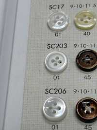 SC203 BOUTONS DAIYA Résistant Aux Chocs HYPER DURABLE "" Série "" Shell-like Polyester Button ""[Bouton] DAIYA BUTTON(DAIYA BUTTON) Sous-photo