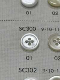 SC300 DAIYA BUTTONS Bouton En Polyester Façon Coquillage DAIYA BUTTON(DAIYA BUTTON) Sous-photo