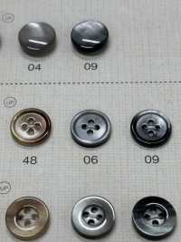 SC300 DAIYA BUTTONS Bouton En Polyester Façon Coquillage DAIYA BUTTON(DAIYA BUTTON) Sous-photo