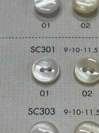 SC301 DAIYA BUTTONS Bouton En Polyester Façon Coquillage DAIYA BUTTON Sous-photo