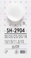 SH2904 Boutons En Polyester Teintables