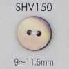 SHV150 Bouton en coquillage à 2 trous