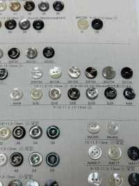 SLR8 DAIYA BUTTONS Bouton En Polyester Façon Coquillage DAIYA BUTTON(DAIYA BUTTON) Sous-photo