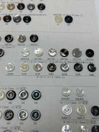 SLW8 DAIYA BUTTONS Bouton En Polyester Façon Coquillage DAIYA BUTTON(DAIYA BUTTON) Sous-photo