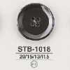 STB1018 Bouton Shell Shell à 4 Trous