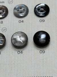 SU107 DAIYA BUTTONS Bouton En Polyester Façon Coquillage DAIYA BUTTON Sous-photo