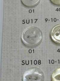 SU17 DAIYA BUTTONS Bouton En Polyester Façon Coquillage DAIYA BUTTON(DAIYA BUTTON) Sous-photo