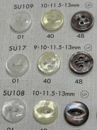 SU17 DAIYA BUTTONS Bouton En Polyester Façon Coquillage DAIYA BUTTON(DAIYA BUTTON) Sous-photo