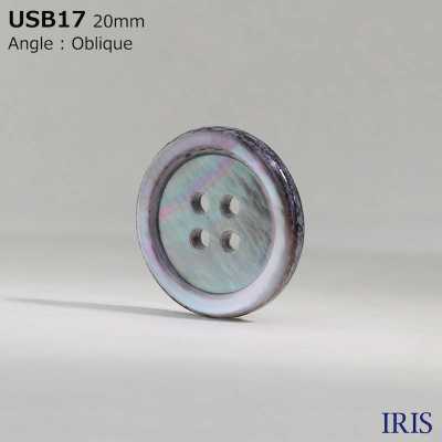 USB17 Bouton Brillant De Trous Avant De Shell 4 De Nacre De Teinture De Matériel Naturel IRIS Sous-photo