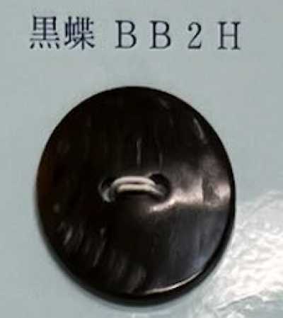 BB2H Bouton en coquille noire sans rebord à deux trous