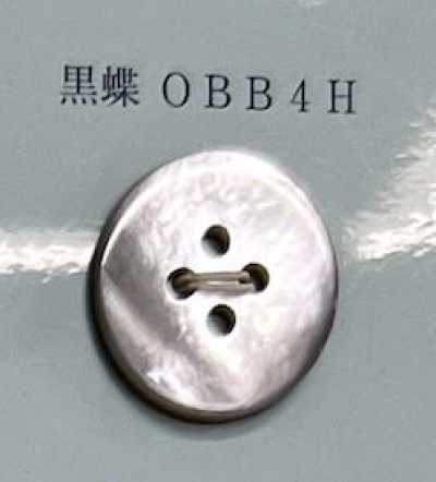 OBB4H Bouton en coquillage à lèvre noire sans bord à 4 trous