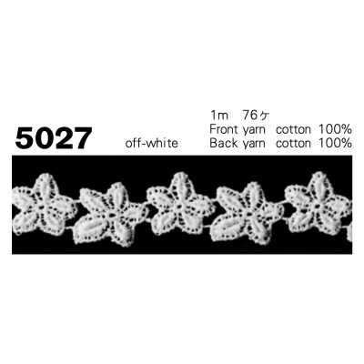 5027 Dentelle chimique