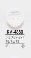 KV4880 Boutons de chemise à teindre