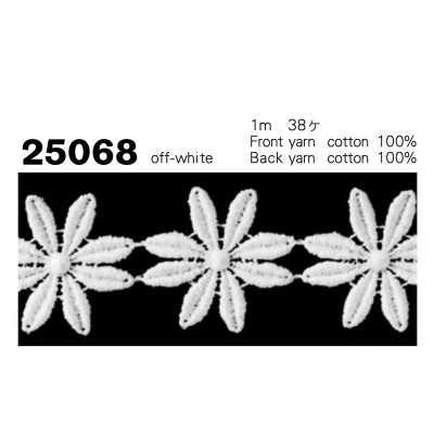 25068 Dentelle chimique étroite