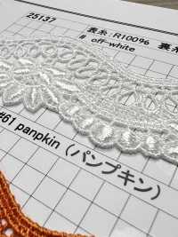 25137 Dentelle Chimique De Largeur étroite Kyowa Lace Sous-photo