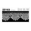 25163 Dentelle chimique étroite