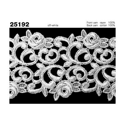 25192 Dentelle chimique