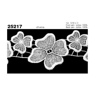 25217 Dentelle chimique étroite