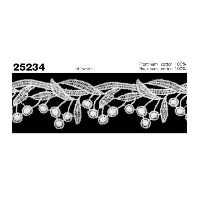 25234 Dentelle chimique étroite