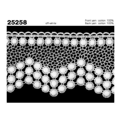 25258 Dentelle chimique